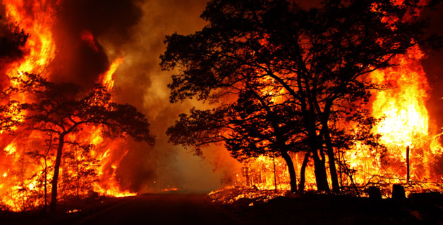 Afrique : Les feux de forêts ont ravagé près de 212 millions d’hectares en 2023